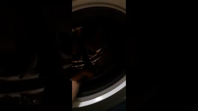 Скрипит барабан. Ещё не подключали. Это нормально? Beko WRE 6512 BWW