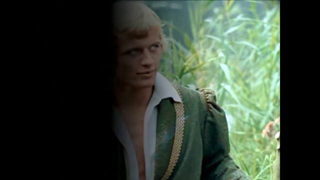 Рутгер Хауэр вёл «незвездную» жизнь. смотреть онлайн