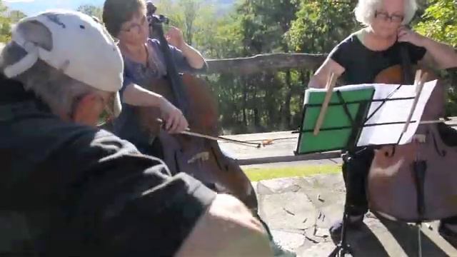 1955 Martin D28 & 1963 Gibson J50 and Cello Players смотреть онлайн