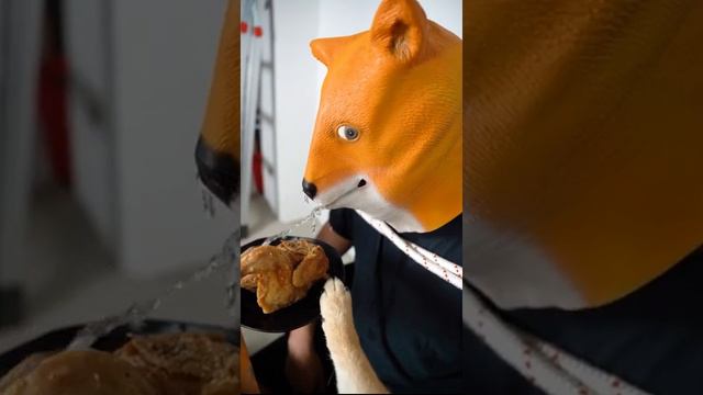 #Short #Dog #Best Dog's Life | Удивительная собака 2021 | Готовка собак 2021 | Умная собака 2021 смотреть онлайн