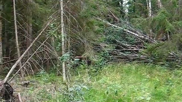 Дача 07,07 067 смотреть онлайн