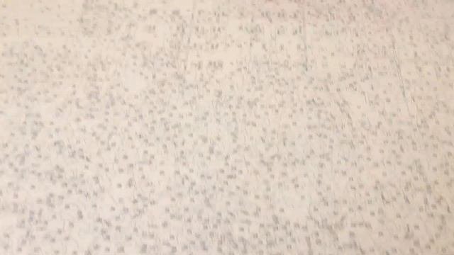 Рисование по номерам #самоизоляция