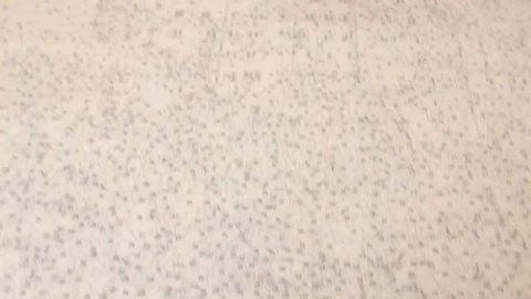 Рисование по номерам #самоизоляция