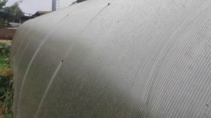 Так сколько же все-таки служит поликарбонат на теплицах?