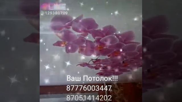 #ваш Потолок Павлодар Казахстана @vash_potolok_pvl смотреть онлайн
