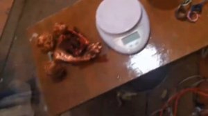 Денежки с разбора телевизора SHARP 21H-FV5RU