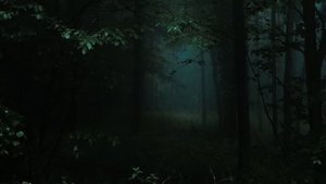 a twilight comfort playlist (pt.3)