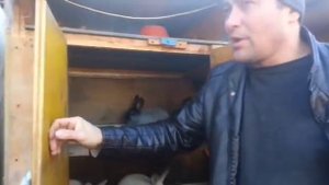 ОБЗОР КЛЕТКИ  УЛИЧНОГО СОДЕРЖАНИЯ КРОЛИКОВ.