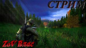 ВОЗВРАЩЕНИЕ В DAYZ  | dayz standalone #dayz #dayzstandalone #dayzpvp