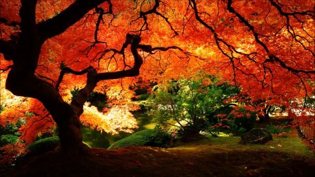 Япония - Музыка в японском стиле для сна и медитации | RelZen смотреть онлайн