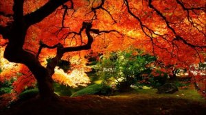 Япония - Музыка в японском стиле для сна и медитации | RelZen