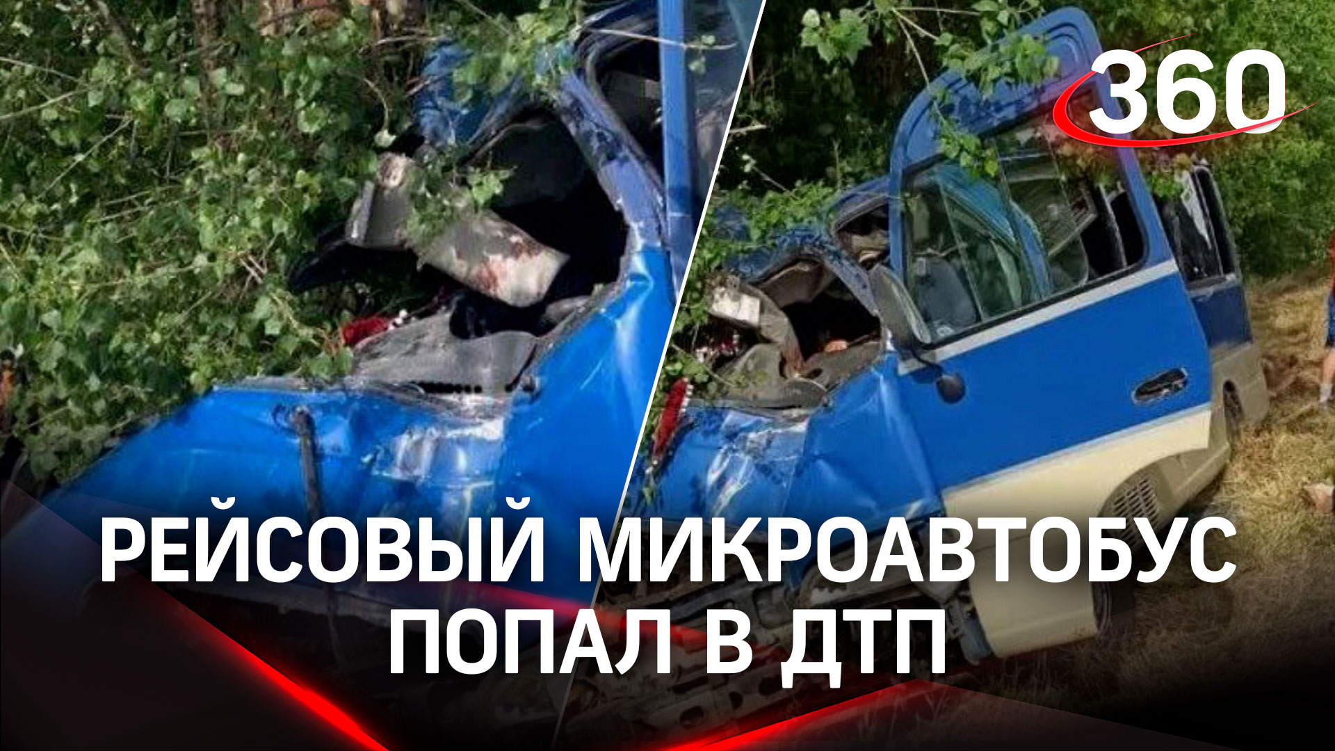 Врезался в дерево: микроавтобус слетел в кювет, есть погибшие. Кадры с места ДТП