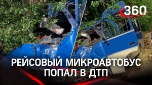 Врезался в дерево: микроавтобус слетел в кювет, есть погибшие. Кадры с места ДТП