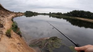 Ловим Щуку и Судака в сентябре! Рыбалка на спиннинг, Твичинг на реке Клязьма