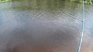 Рыбалка в Карелии Река Шуя Матросы 16 Июля 2017 года/Fishing in Karelia Shuya River Sailors July 16