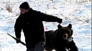 ??/Странный Медведь шатун/ Загадочный  случай в тайге/