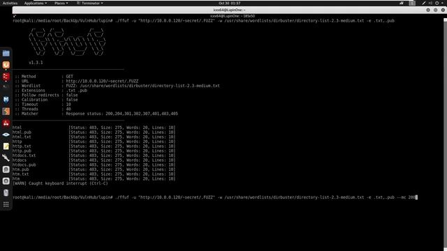 VulnHub - Empire: LupinOne смотреть онлайн