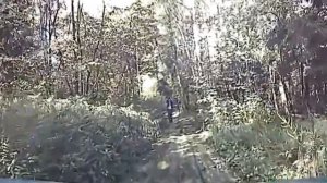 Mitsubishi l200 в стоке, лесная дорога, с регистратора.