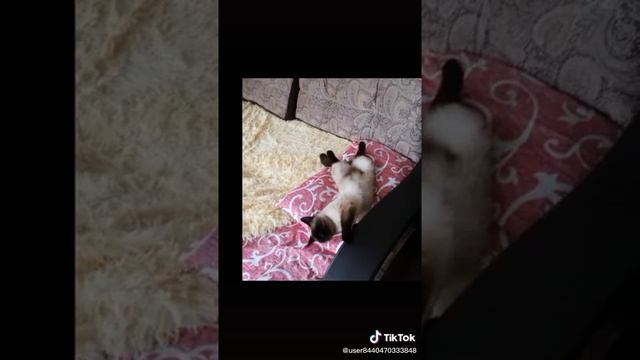 С Днём рождения ксения смотреть онлайн