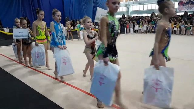 Кубок Березняків 2017. Відкриття. 31.03.2016 ДСТШ Фенікс смотреть онлайн