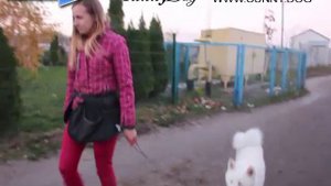 Поддается ли дрессировке акита ину? Как правильно гулять с акитой?