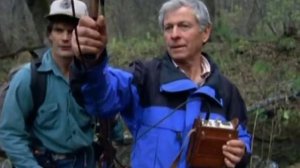 Отлов Амурских Тигров Учеными. Trapping Of Amur Tigers 1