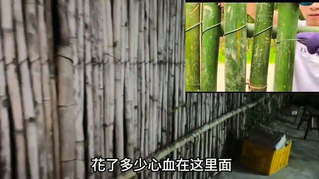 老谭回到桂林，回忆起和小九一起打造小院的点点滴滴，真有些不舍 смотреть онлайн