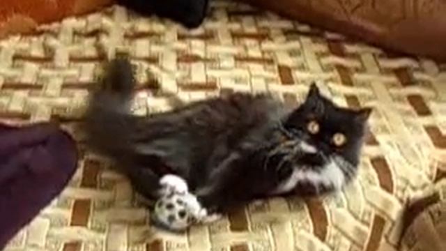 Маня смотреть онлайн