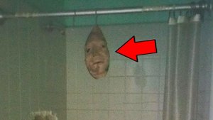 9 Страшных видео, которые вызовут тревогу за 10 минут