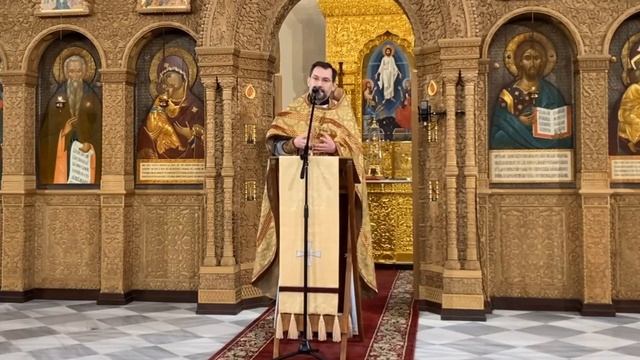 Исцеление кровоточивой и воскрешение дочери Иаира. Проповедь протоиерея Димитрия Сизоненко смотреть онлайн