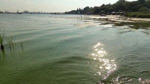 Дикий пляж Аврал на западном. Ростов-на-Дону. Малая Гремучка.