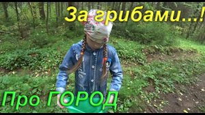 За грибами в пригороде Кирова