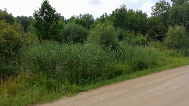 #Находки брошенных деревень#Приморский край#коп 2019# смотреть онлайн