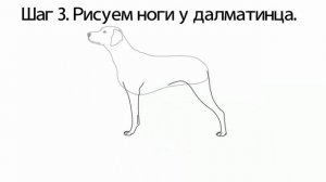 Как нарисовать далматинца карандашом поэтапно