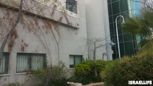 ИЗРАИЛЬ 2 : Восстанавливаем паспорт ( теудат зеут ) в Израиле смотреть онлайн