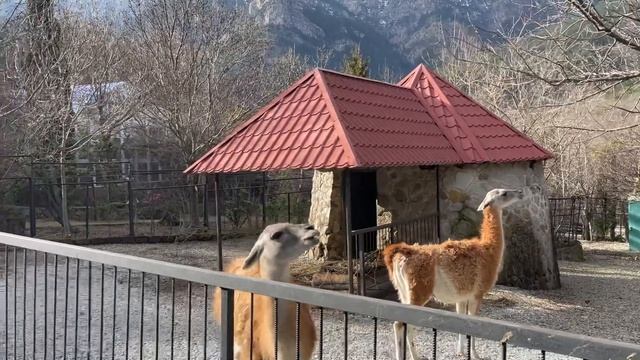 Снова попал под «ОБСТРЕЛ»! смотреть онлайн