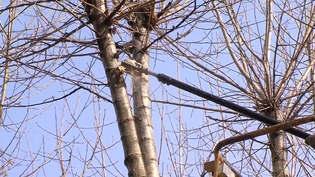 Зеленая парикмахерская
