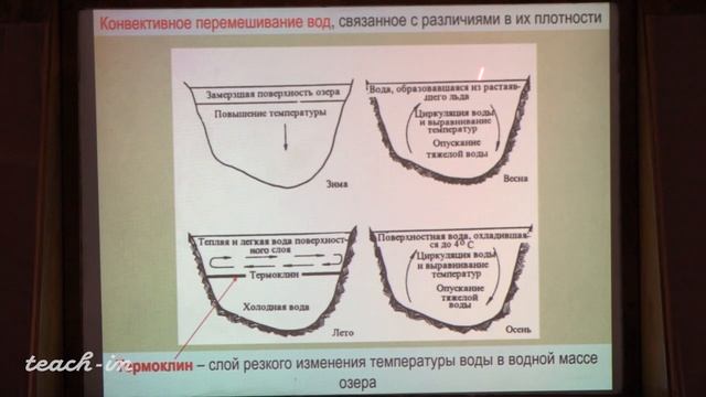 Гущин А.И. - Общая геология. Часть 1 - 15. Озера и болота, их геологическая роль смотреть онлайн