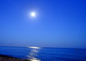 147.Трофеи 29.mp4