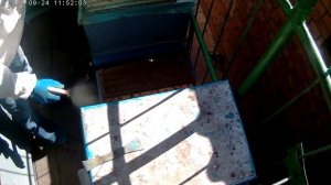 Леток улья 14 дней закрыт.Так гибнет пчелосемья.Чуть не запарил пчёл в сентябре.