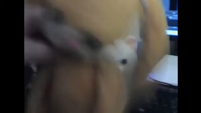 Винкс Новая Комбинация Никита Группа узыкальная Зайка Надя Шокк смотреть онлайн