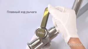 Смеситель для кухни с гибким изливом и подключением к фильтру питьевой воды Zdian Z38012A