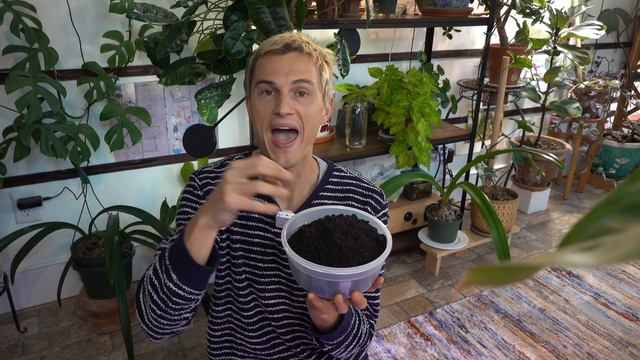 Great Organic Fertilizer - WORM CASTINGS - for all Plants смотреть онлайн