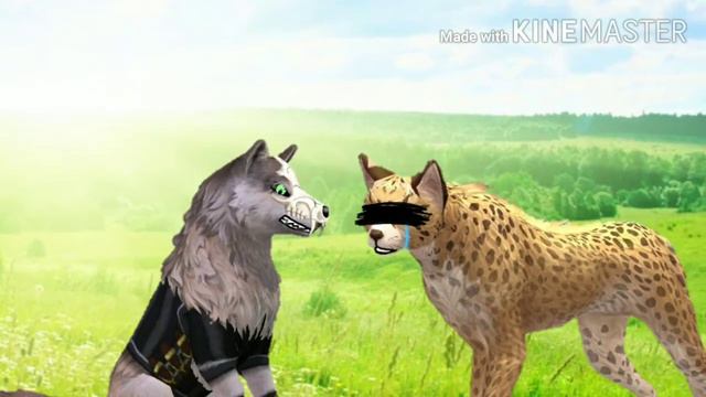 Клип WildCraft ~ |¦Ревную|¦🗿💞 смотреть онлайн