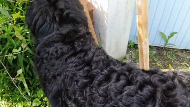 ДАЧА/ЛЕЗЕМ В КОЛОДЕЦ / вода в дом смотреть онлайн