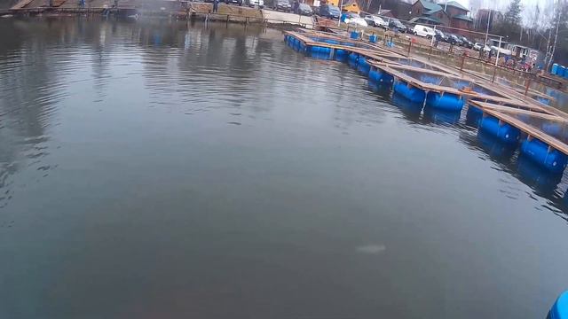 Весенний trout4 смотреть онлайн