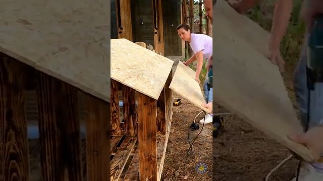 Гаджеты и хитрости для питомцев!? Удивительные поделки для наших любимых друзей смотреть онлайн