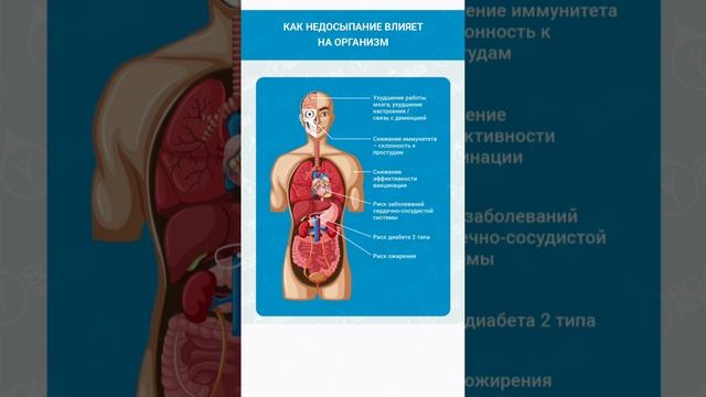 Сон - наше здоровье