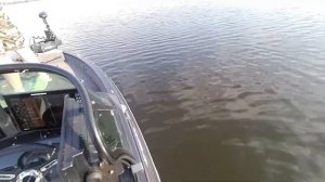 Щука в Сызрани на большие приманки. Бульдоги, бигбейты и никакого джига