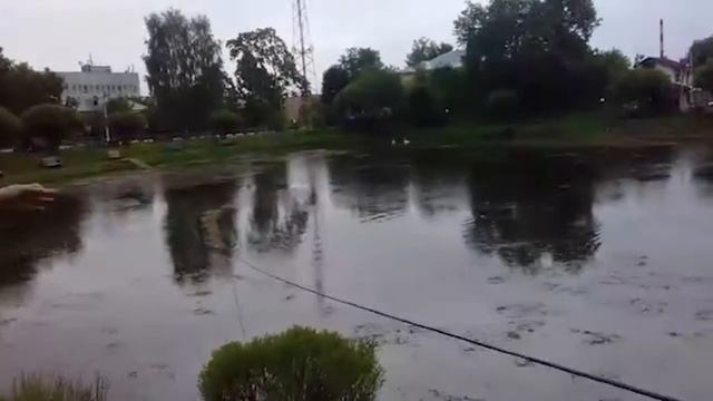 #Пруд #Чистка смотреть онлайн